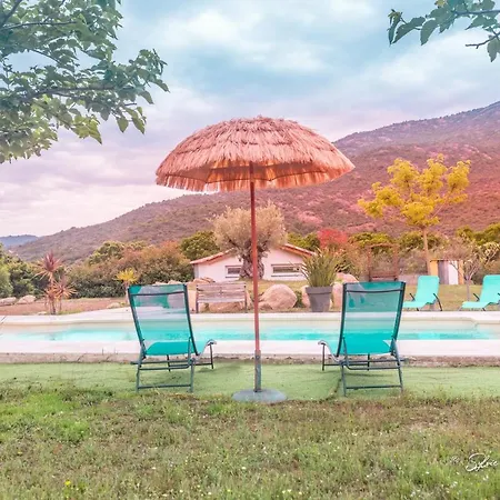 Willa Grande De Standing Avec Piscine A En Corse *