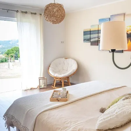 Grande De Standing Avec Piscine A En Corse *