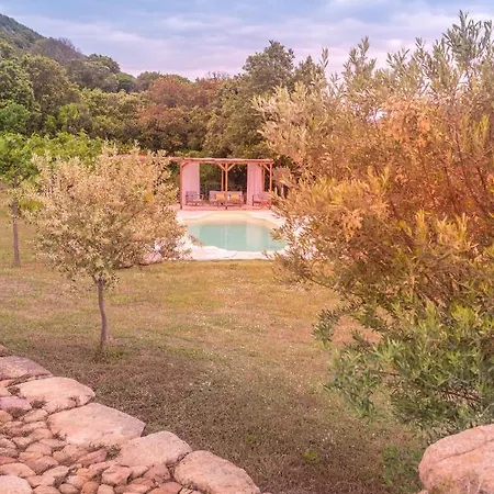 Grande De Standing Avec Piscine A En Corse *