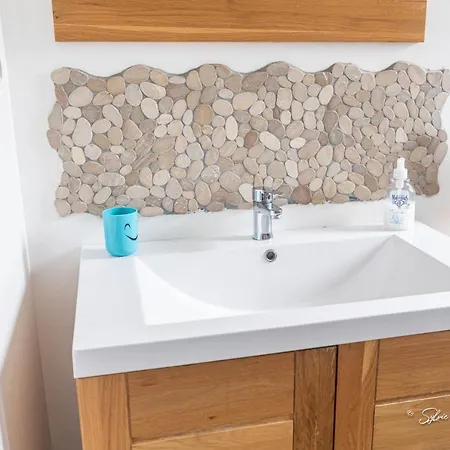 Villa Grande De Standing Avec Piscine A En Corse *