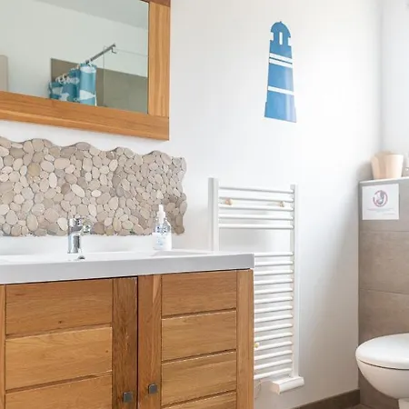 Grande De Standing Avec Piscine A En Corse Villa