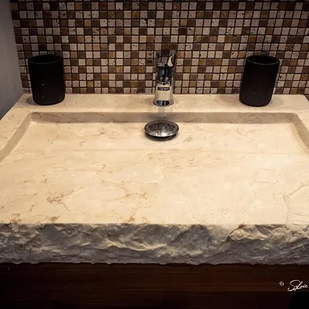 Villa Grande De Standing Avec Piscine A En Corse *