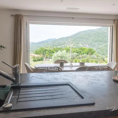 Villa Grande De Standing Avec Piscine A En Corse *