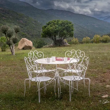 Grande De Standing Avec Piscine A En Corse Villa