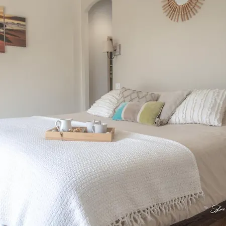 Grande De Standing Avec Piscine A En Corse 사공