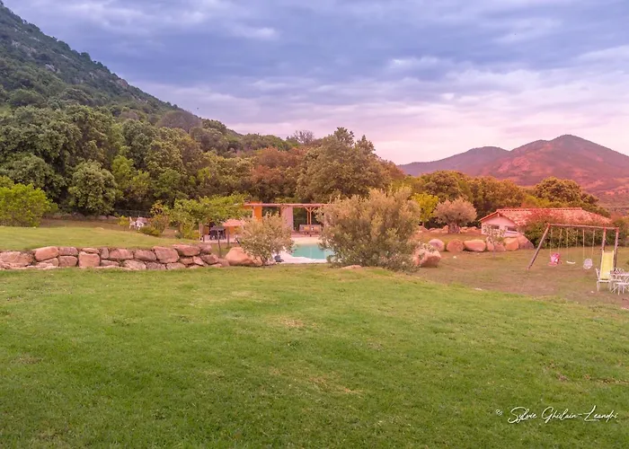 Grande De Standing Avec Piscine A En Corse Vila *