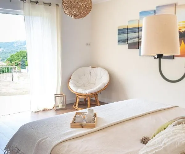 Grande De Standing Avec Piscine A En Corse *