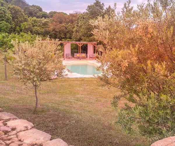 Grande De Standing Avec Piscine A En Corse *