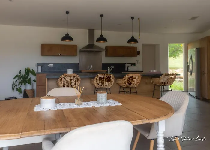 Grande De Standing Avec Piscine A En Corse Vila