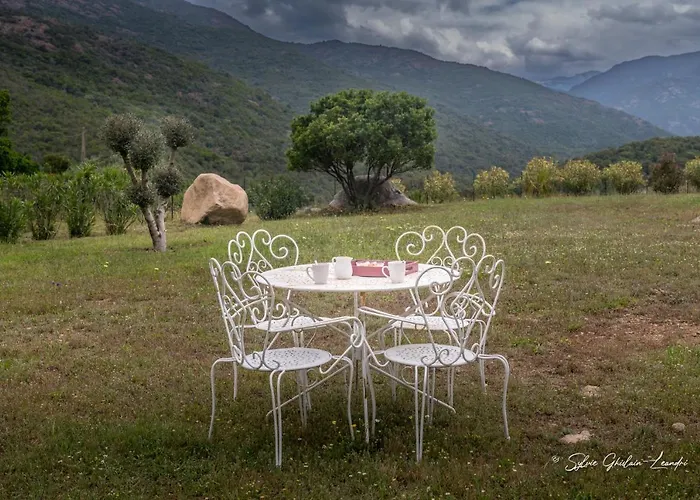 Grande De Standing Avec Piscine A En Corse וילה
