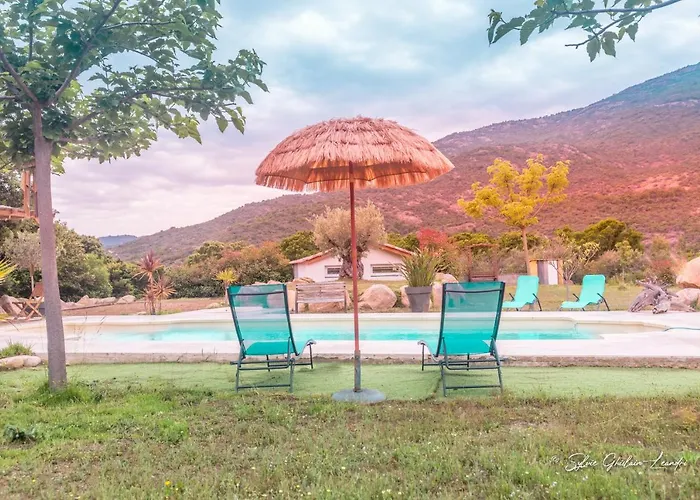 Vila Grande De Standing Avec Piscine A En Corse *