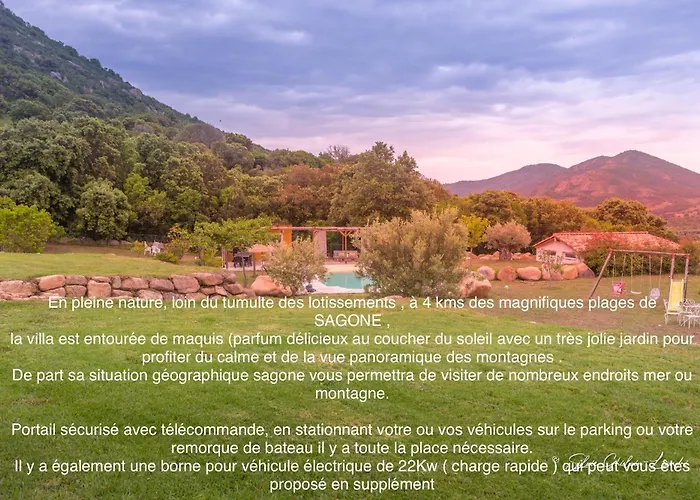 Grande De Standing Avec Piscine A En Corse *