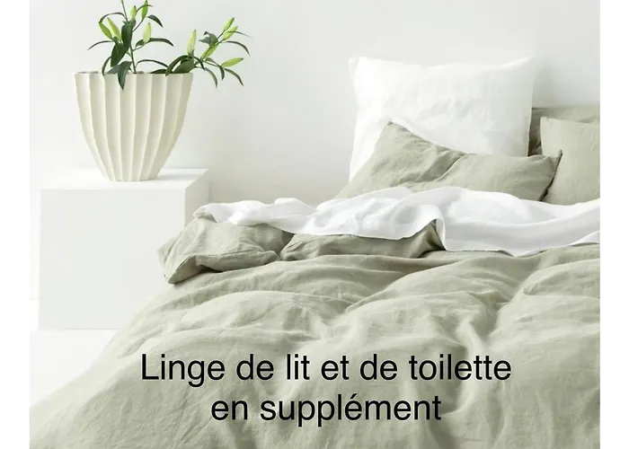 Vila Grande De Standing Avec Piscine A En Corse *